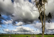 国际足球盛宴，女子队伍斩获佳绩！