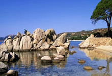 国际足球盛宴，女子队伍斩获佳绩！