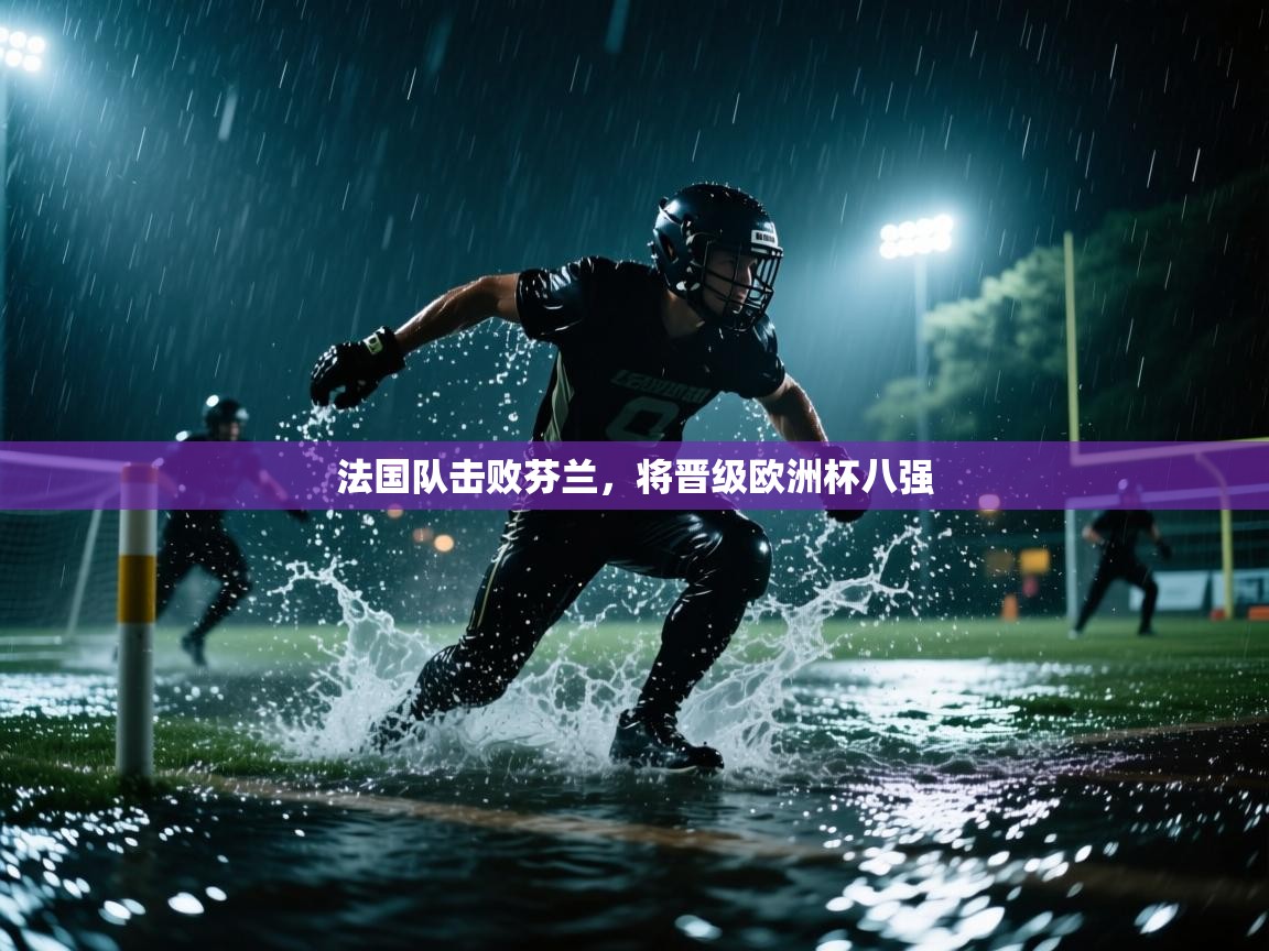 法国队击败芬兰，将晋级欧洲杯八强  第1张