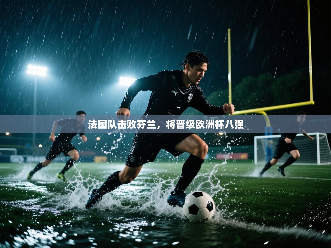 法国队击败芬兰，将晋级欧洲杯八强  第2张