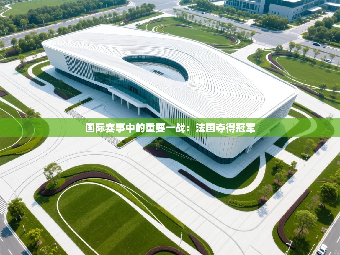 国际赛事中的重要一战：法国夺得冠军  第1张