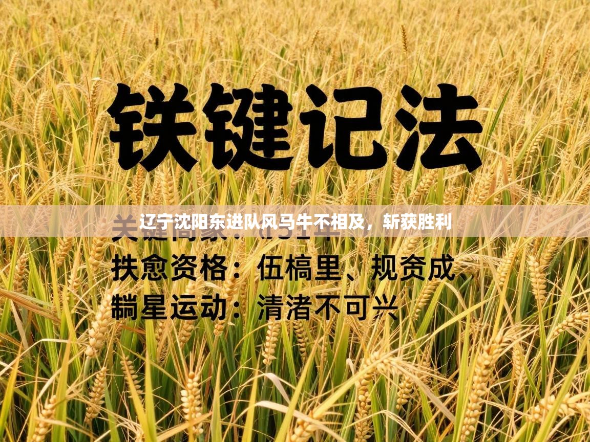 辽宁沈阳东进队风马牛不相及，斩获胜利